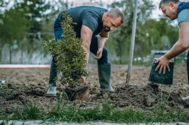 Best Professional Tree Care  in Fort Clark Springs, TX